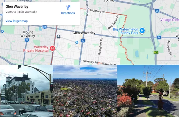 Pest Control Services Glen Waverley